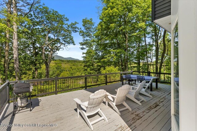 275 Mountain Ave, Cairo, NY 12413 - photo 3