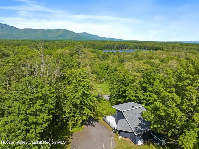 275 Mountain Ave, Cairo, NY 12413 - photo 29