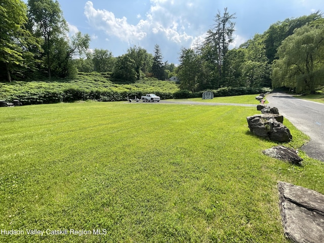 26-58 Brook St, Kingston, NY 12401 - photo 4