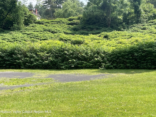 26-58 Brook St, Kingston, NY 12401 - photo 3