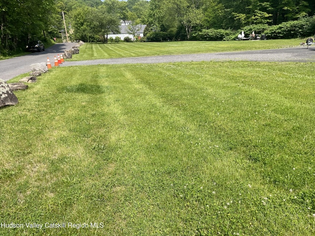 26-58 Brook St, Kingston, NY 12401 - photo 2