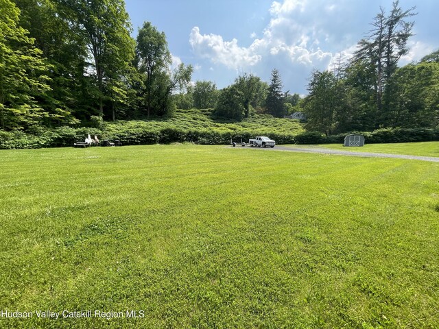 26-58 Brook St, Kingston, NY 12401 - photo 1