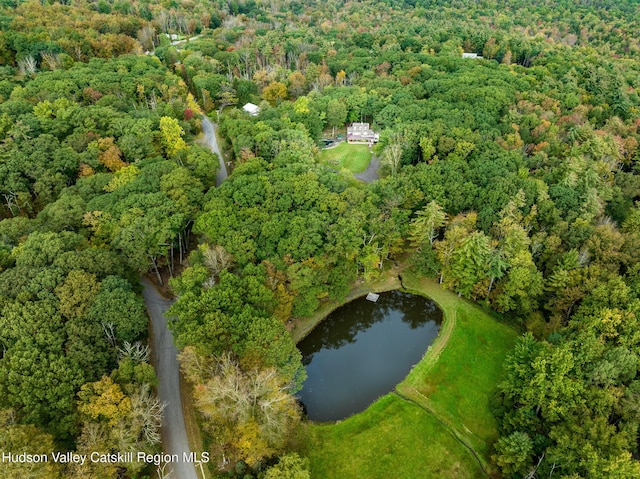 465 High Point Mountain Rd, West Shokan, NY 12494 - aerial overview of property's location with a heavily wooded area and a large body of water