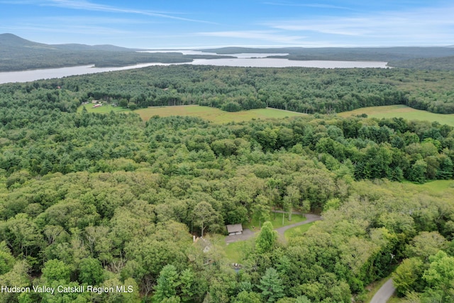 465 High Point Mountain Rd, West Shokan, NY 12494 - bird's eye view of a heavily wooded area and a water and mountain view