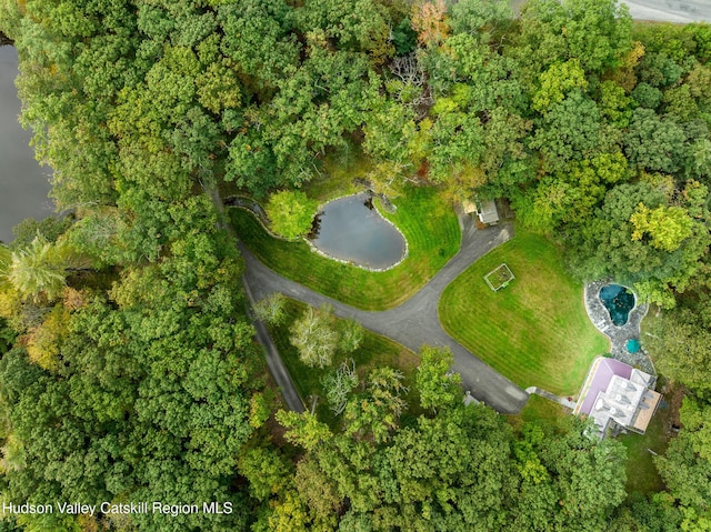 465 High Point Mountain Rd, West Shokan, NY 12494 - aerial view of property's location