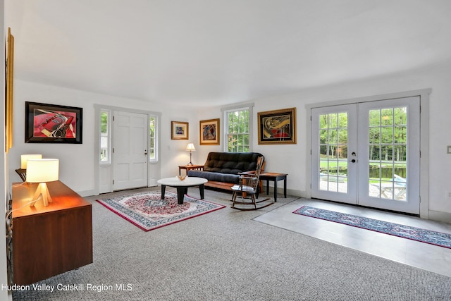 465 High Point Mountain Rd, West Shokan, NY 12494 - carpeted living area featuring french doors and baseboards