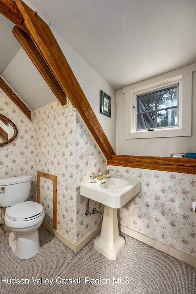 465 High Point Mountain Rd, West Shokan, NY 12494 - half bath featuring toilet and baseboards