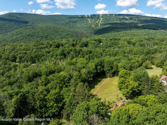 49 Highlands Rd, Highmount, NY 12441 - photo 27