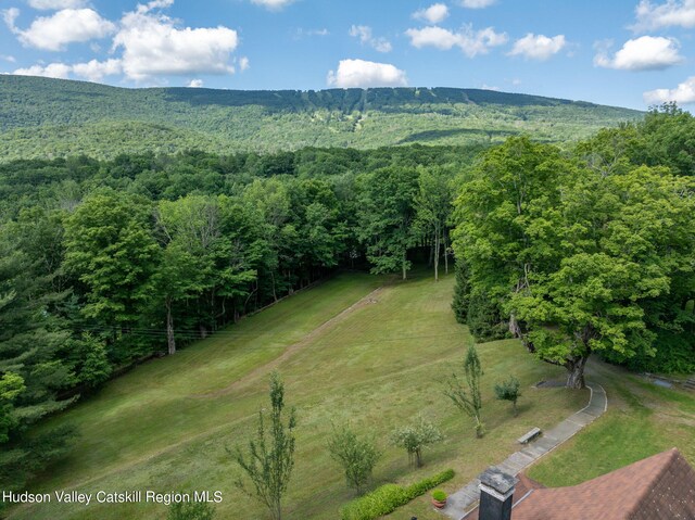 49 Highlands Rd, Highmount, NY 12441 - photo 28