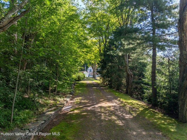 49 Highlands Rd, Highmount, NY 12441 - photo 25