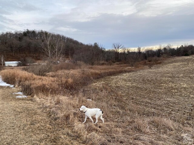 764 County Route 7a, Copake, NY 12516