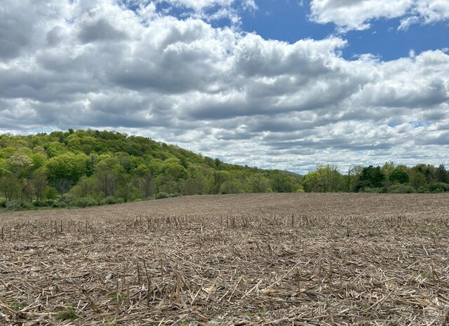 764 County Route 7a, Copake, NY 12516