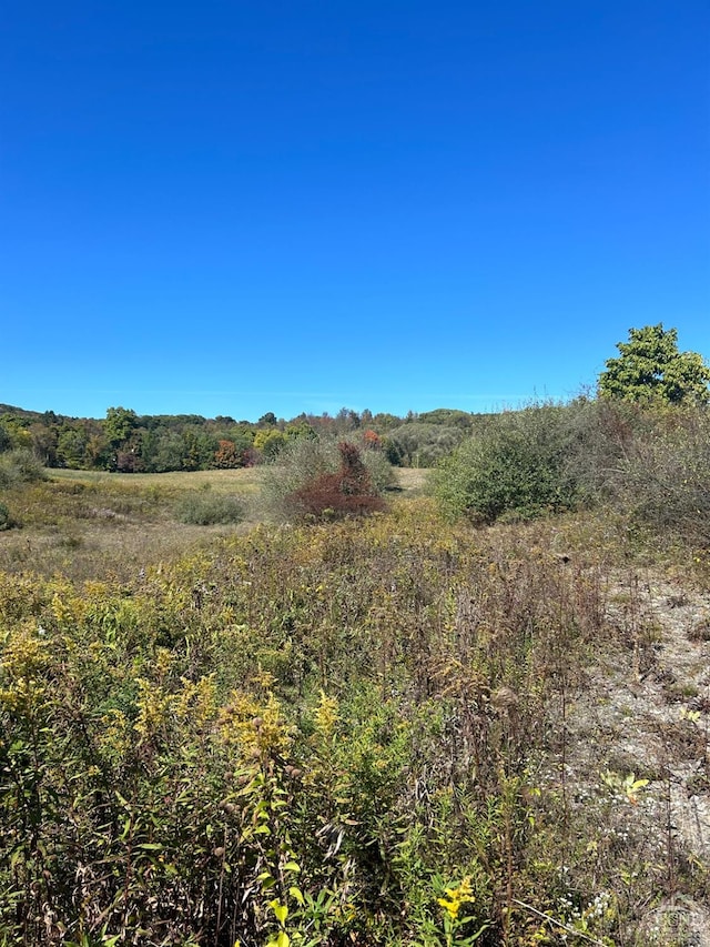 764 County Route 7a, Copake, NY 12516