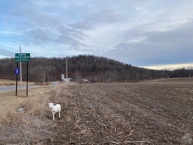 764 County Route 7a, Copake, NY 12516