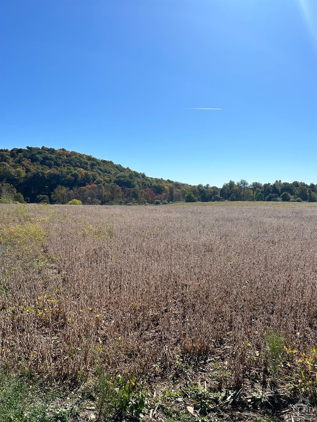 764 County Route 7a, Copake, NY 12516