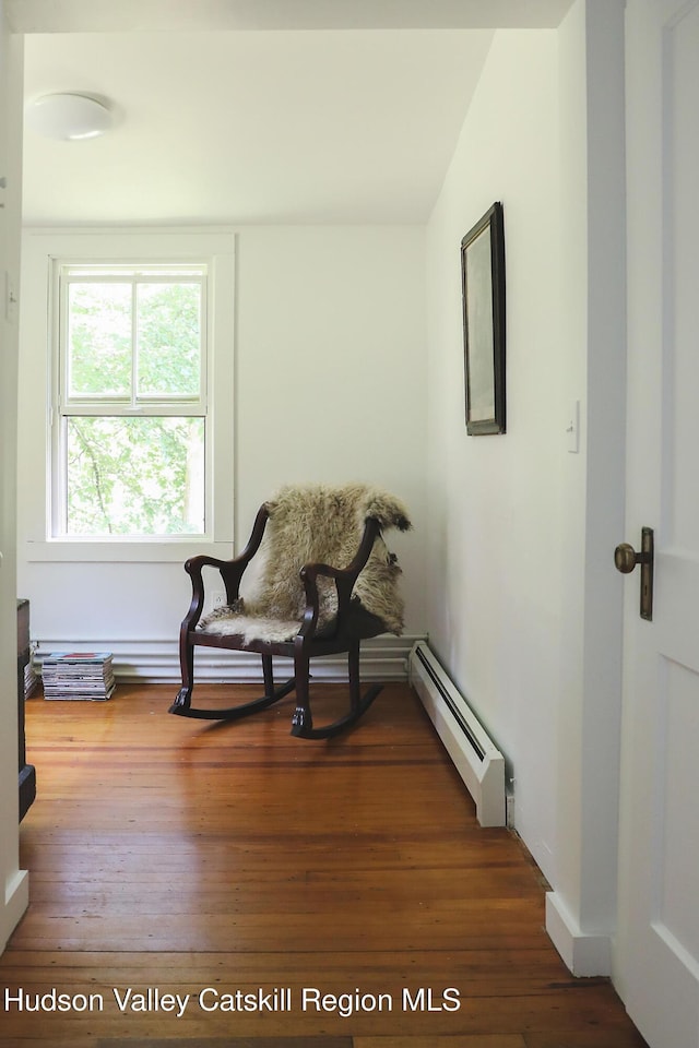 10 Erickson Rd, Hardenburgh, NY 12406 - living area featuring baseboard heating and wood finished floors