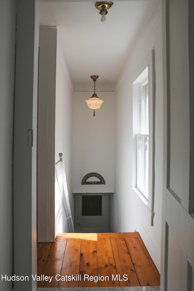 10 Erickson Rd, Hardenburgh, NY 12406 - corridor featuring ornamental molding