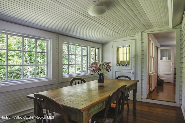 10 Erickson Rd, Hardenburgh, NY 12406 - dining room featuring lofted ceiling, radiator heating unit, plenty of natural light, and wood finished floors