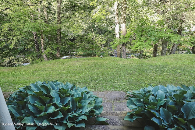 10 Erickson Rd, Hardenburgh, NY 12406 - view of green lawn