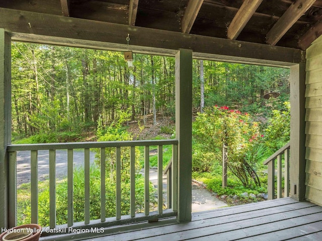 92 Erikas Walk, Mount Tremper, NY 12457 - photo 32
