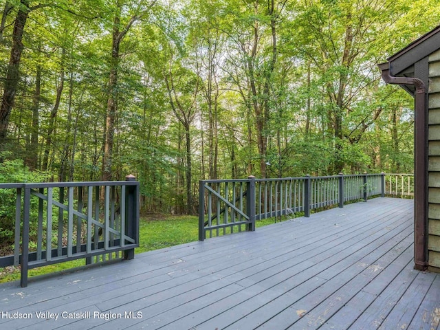 92 Erikas Walk, Mount Tremper, NY 12457 - photo 33