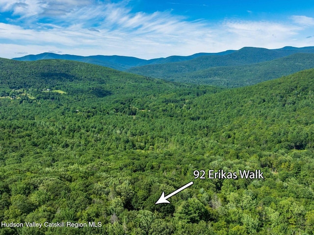92 Erikas Walk, Mount Tremper, NY 12457 - photo 35