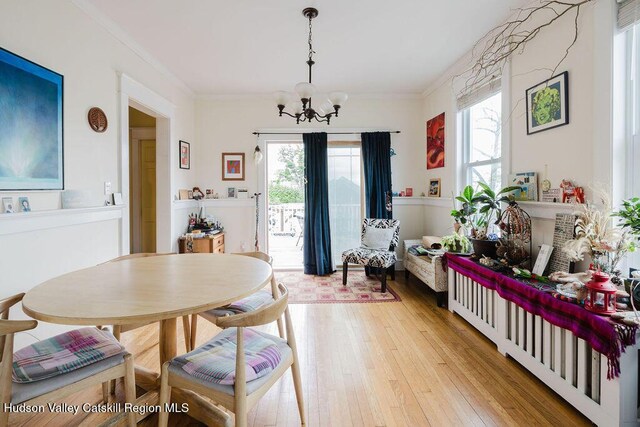 15 Mckinstry Pl, Hudson, NY 12534 - dining room with a chandelier, healthy amount of natural light, light wood-type flooring, and crown molding