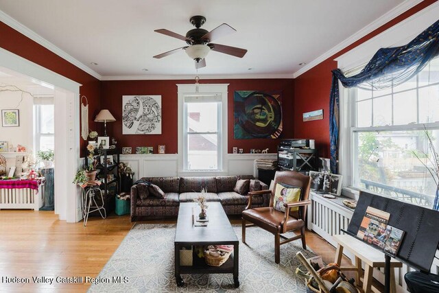 15 Mckinstry Pl, Hudson, NY 12534 - living room with healthy amount of natural light, wood finished floors, ceiling fan, crown molding, and radiator