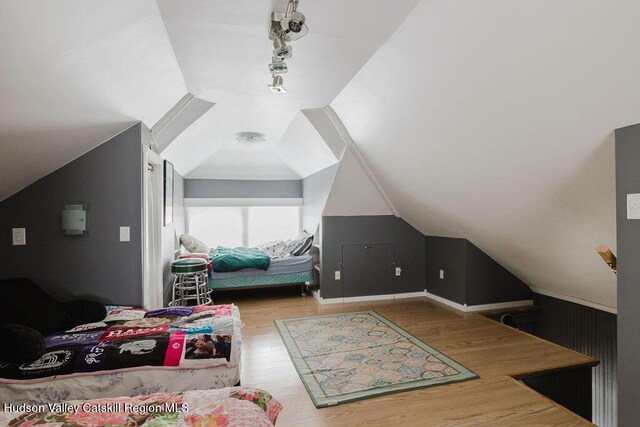 15 Mckinstry Pl, Hudson, NY 12534 - bedroom with lofted ceiling and wood finished floors