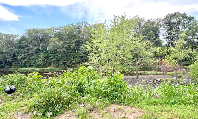 24 Patricia Ln, Washingtonville, NY 10992 - photo 25