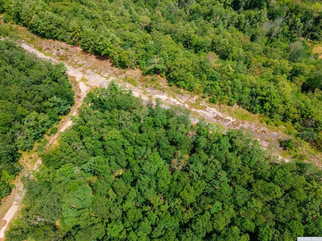 0-L16 Mt Path, Middleburgh, NY 12122