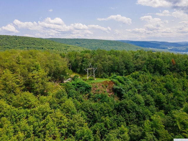 0-L16 Mt Path, Middleburgh, NY 12122