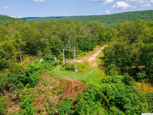 0-L16 Mt Path, Middleburgh, NY 12122