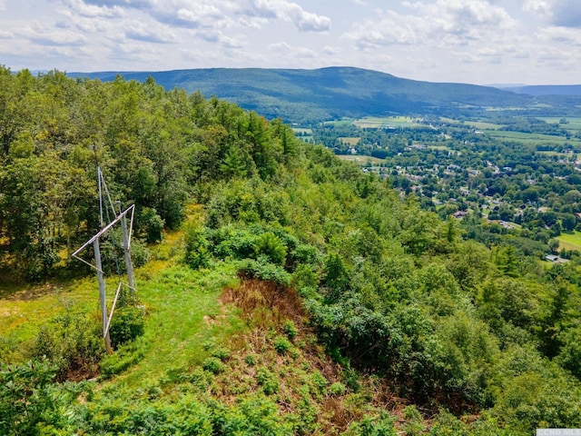 0-L16 Mt Path, Middleburgh, NY 12122
