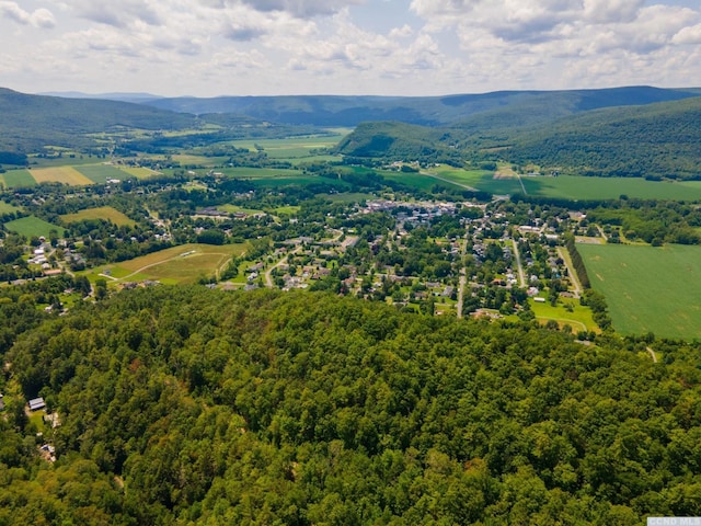 0-L16 Mt Path, Middleburgh, NY 12122