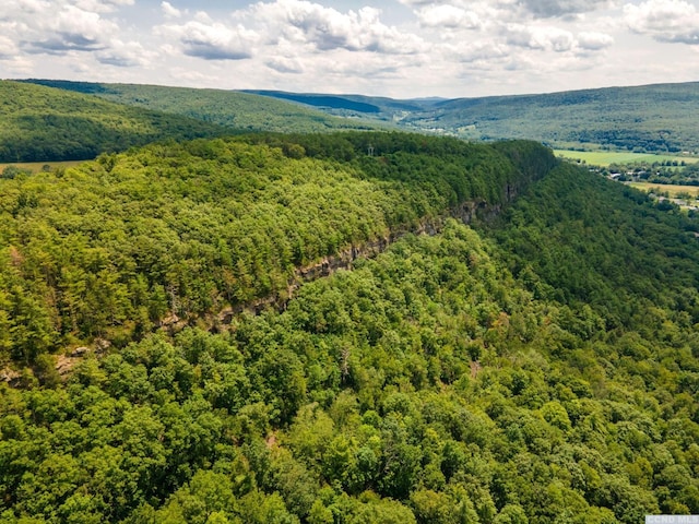 0-L16 Mt Path, Middleburgh, NY 12122