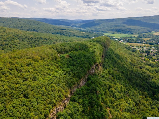 0-L16 Mt Path, Middleburgh, NY 12122