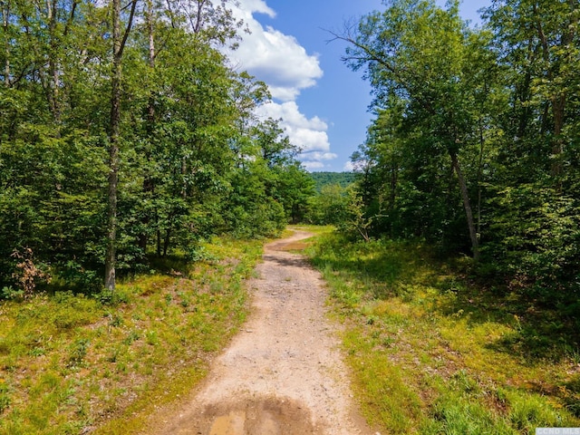 0-L16 Mt Path, Middleburgh, NY 12122