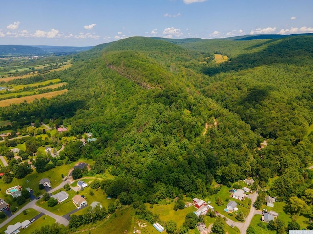 0-L16 Mt Path, Middleburgh, NY 12122