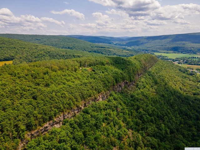0-L16 Mt Path, Middleburgh, NY 12122