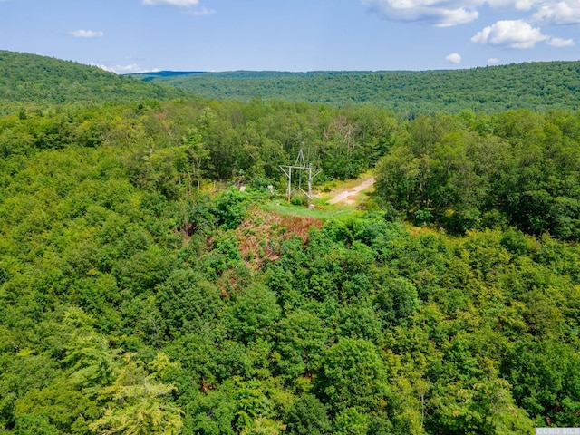 0-L16 Mt Path, Middleburgh, NY 12122