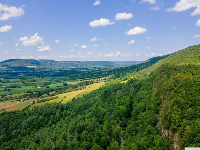 0-L16 Mt Path, Middleburgh, NY 12122