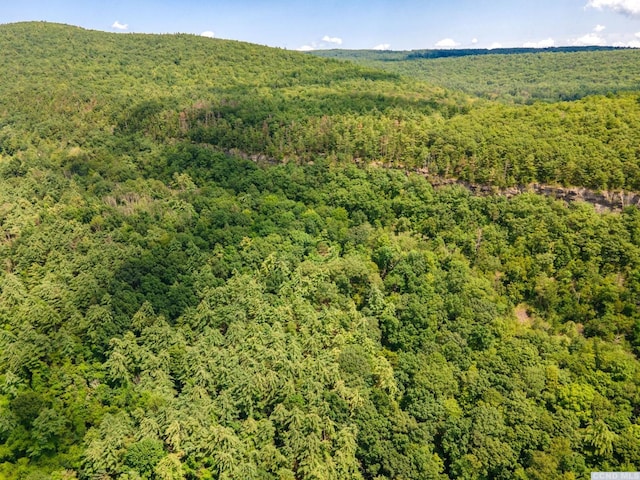 0-L16 Mt Path, Middleburgh, NY 12122