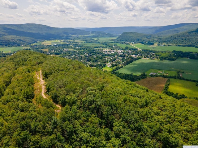 0-L16 Mt Path, Middleburgh, NY 12122