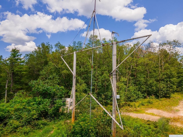 0-L16 Mt Path, Middleburgh, NY 12122