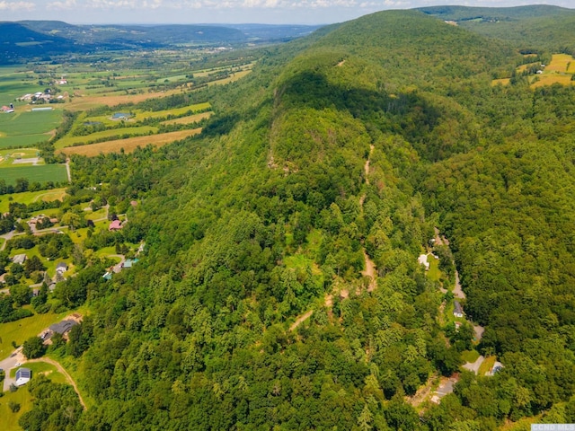 0-L16 Mt Path, Middleburgh, NY 12122
