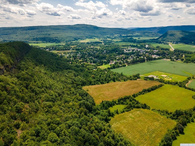 0-L16 Mt Path, Middleburgh, NY 12122