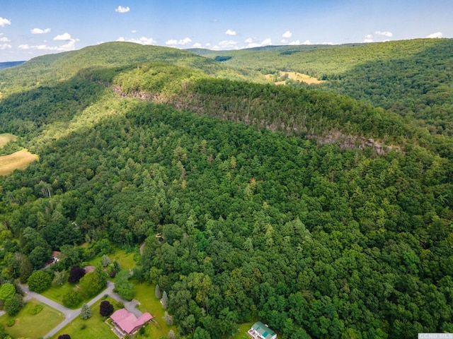 0-L16 Mt Path, Middleburgh, NY 12122
