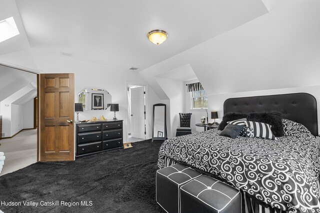 4 Mountain View Dr, Kerhonkson, NY 12446 - bedroom with dark carpet, lofted ceiling, and a skylight