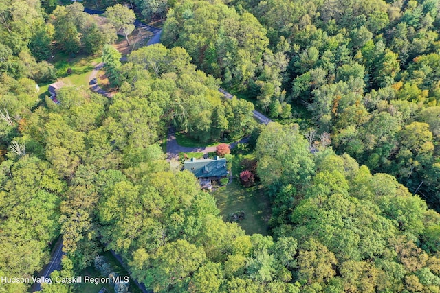 4 Mountain View Dr, Kerhonkson, NY 12446 - aerial view of property's location with a heavily wooded area